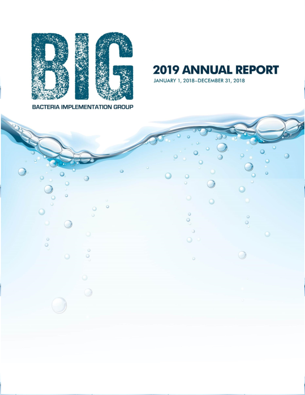 2019 Annual Report