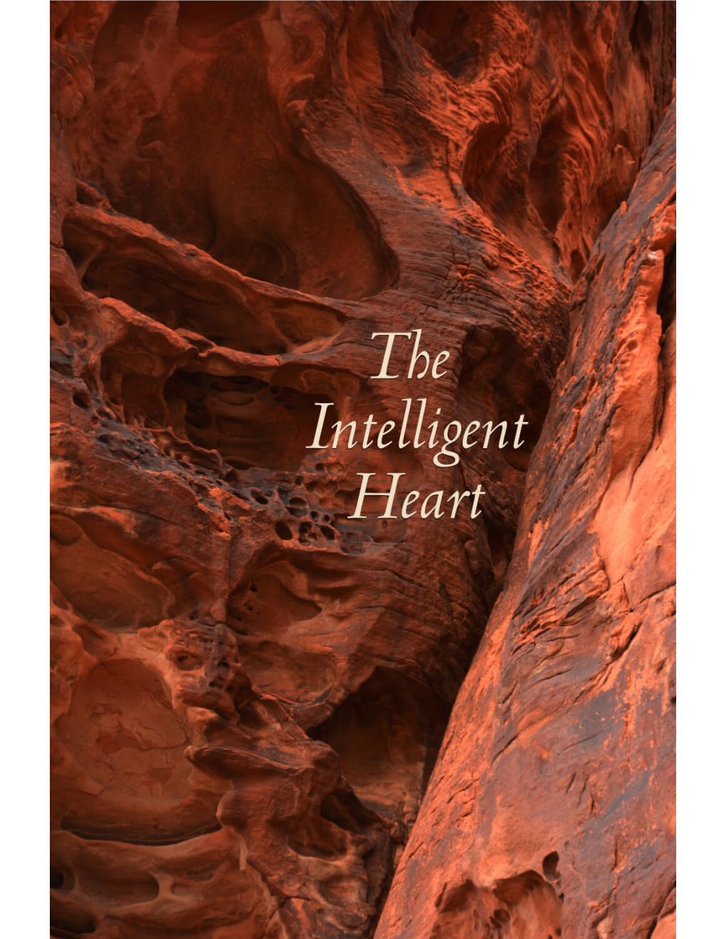 The Intelligent Heart : Five Dhamma Talks