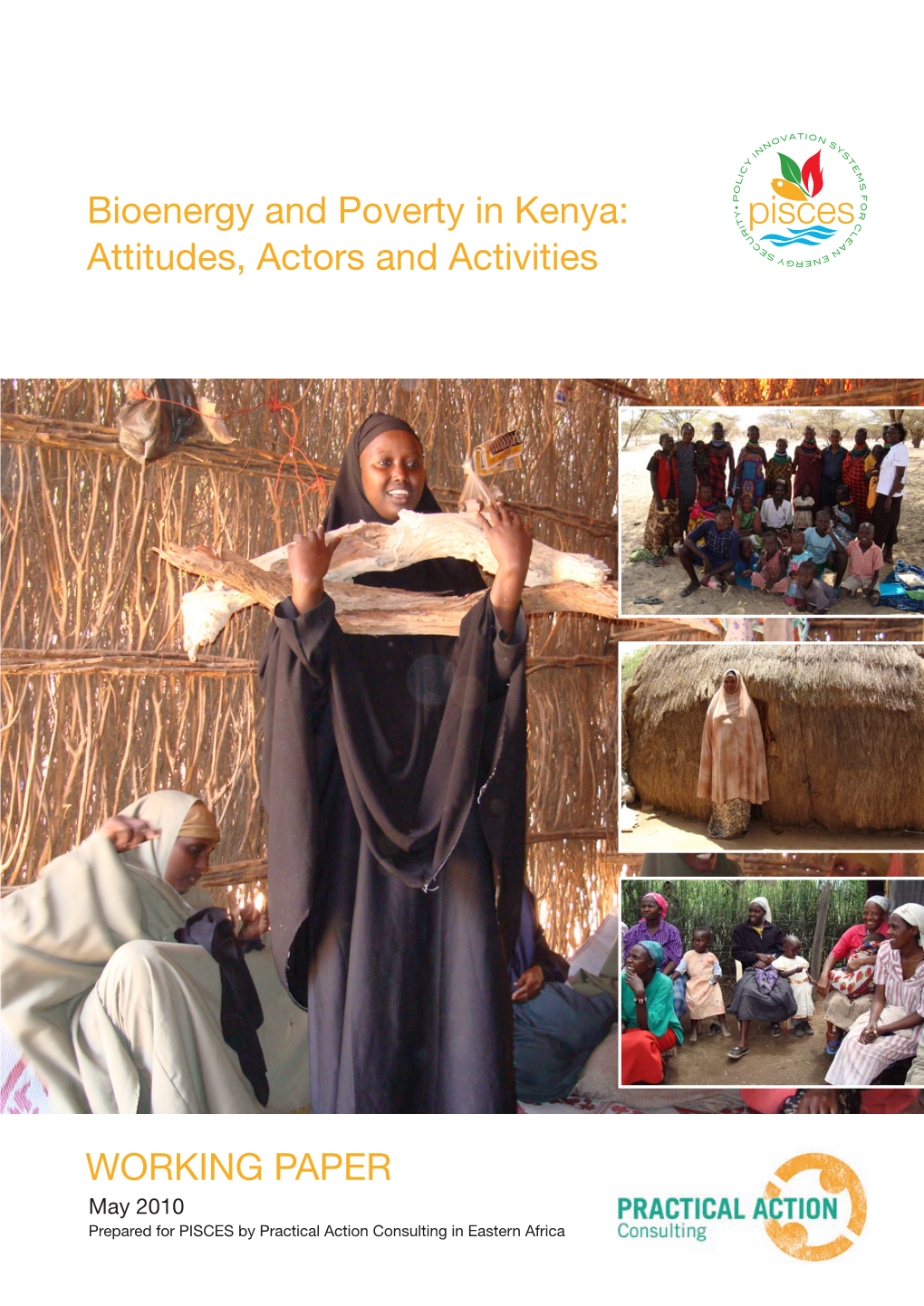 Bioenergy and Poverty in Kenya: Attitudes, Actors and Activities