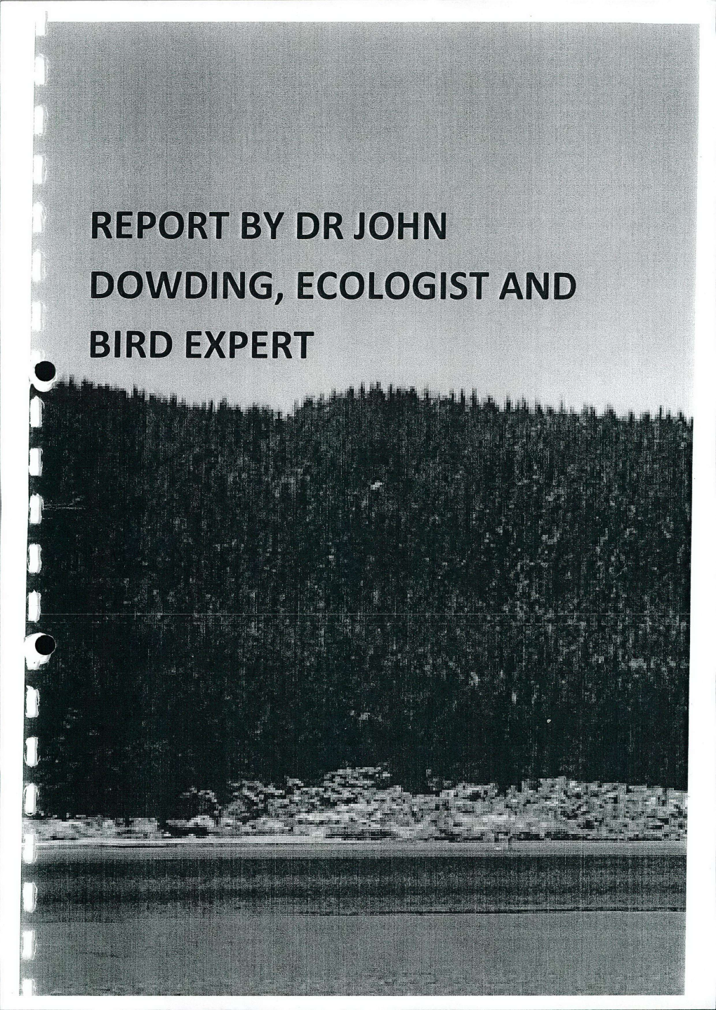 Report by Dr John Dowding, Ecologist and Bird Expert