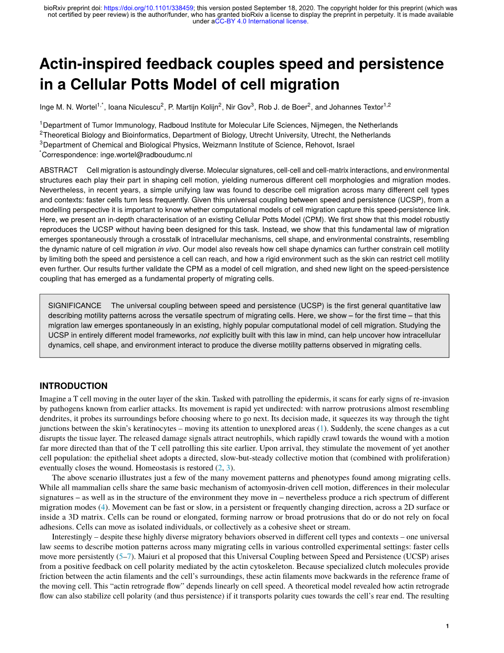 Actin-Inspired Feedback Couples Speed and Persistence in a Cellular Potts Model of Cell Migration
