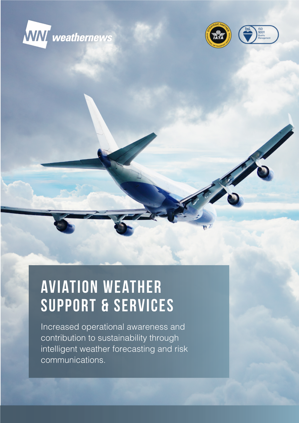 Aviation Weather Support & Services