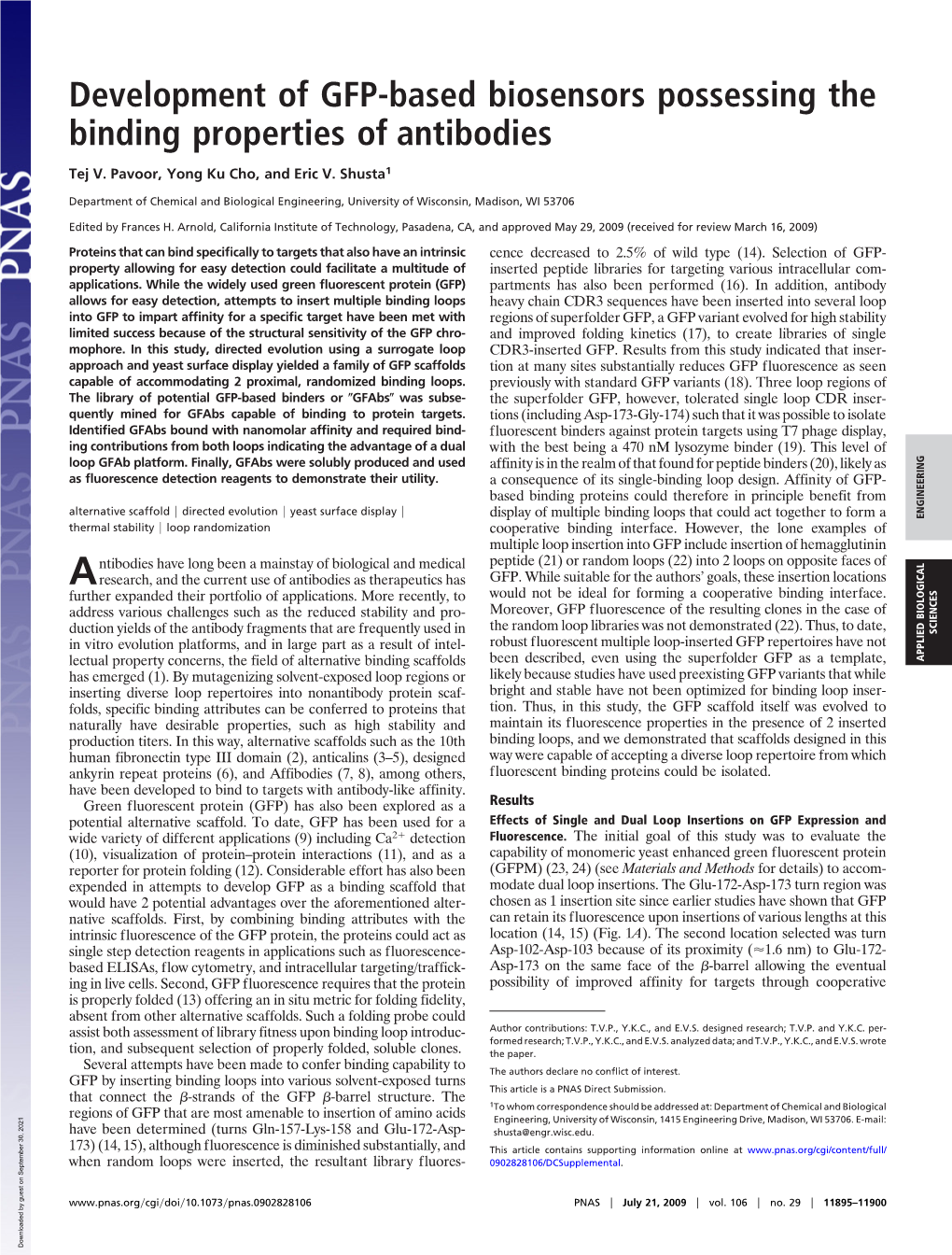 Development of GFP-Based Biosensors Possessing the Binding Properties of Antibodies