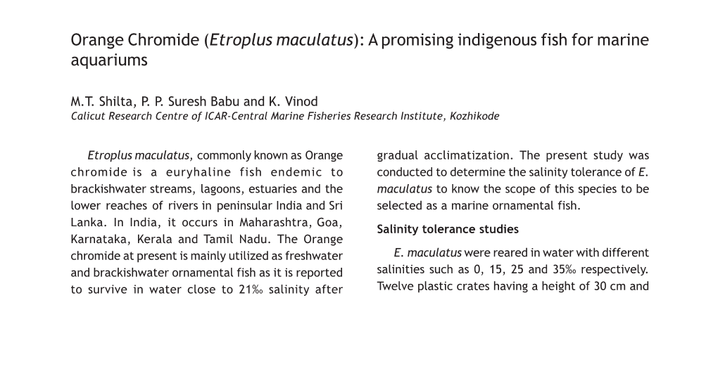 Orange Chromide (Etroplus Maculatus): a Promising Indigenous Fish for Marine Aquariums