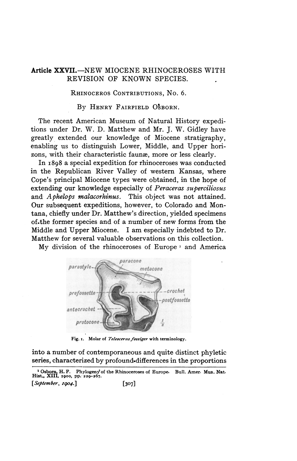 New Miocene Rhinoceroses with Revision of Known Species