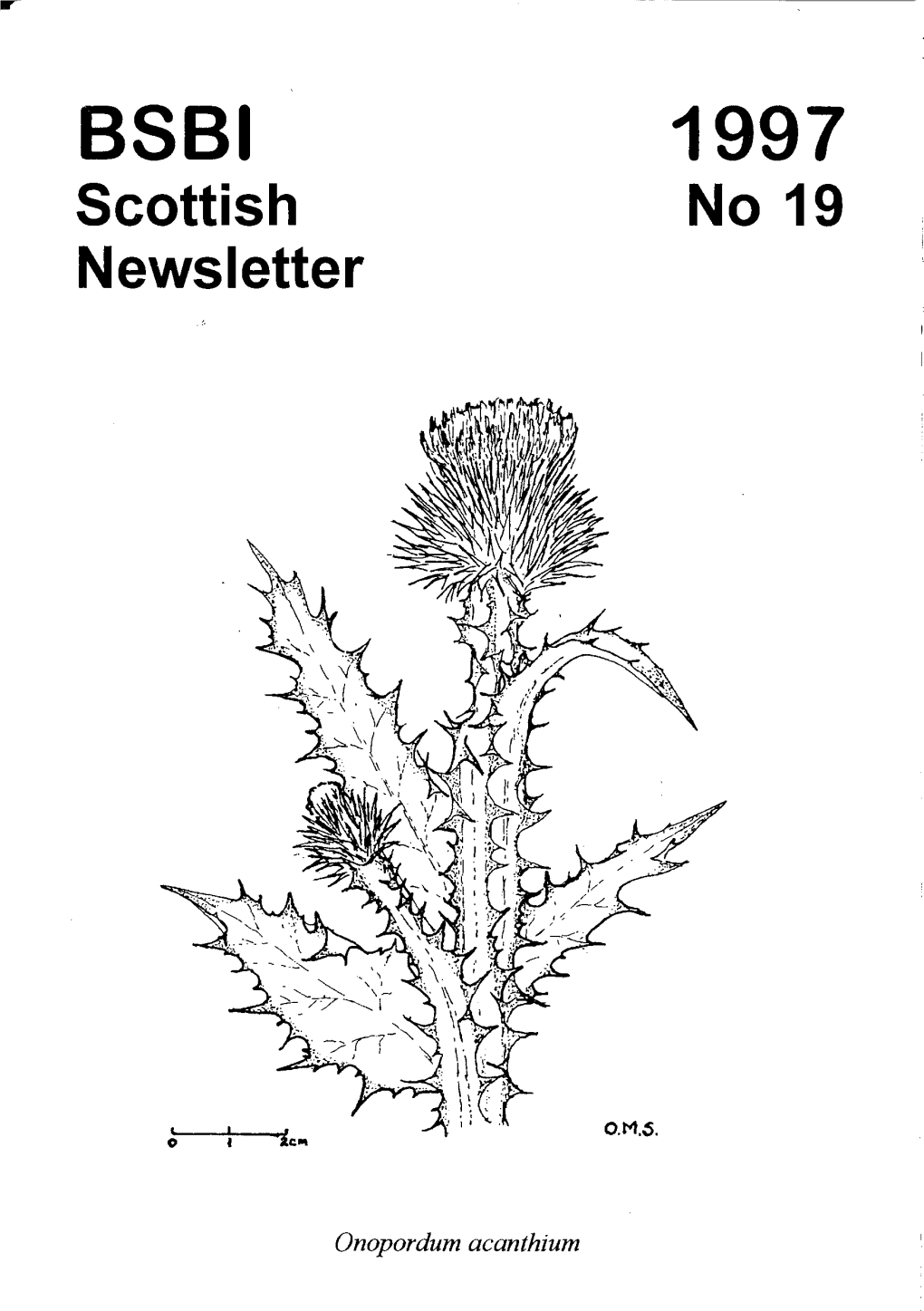 Scottish Newsletter No 19