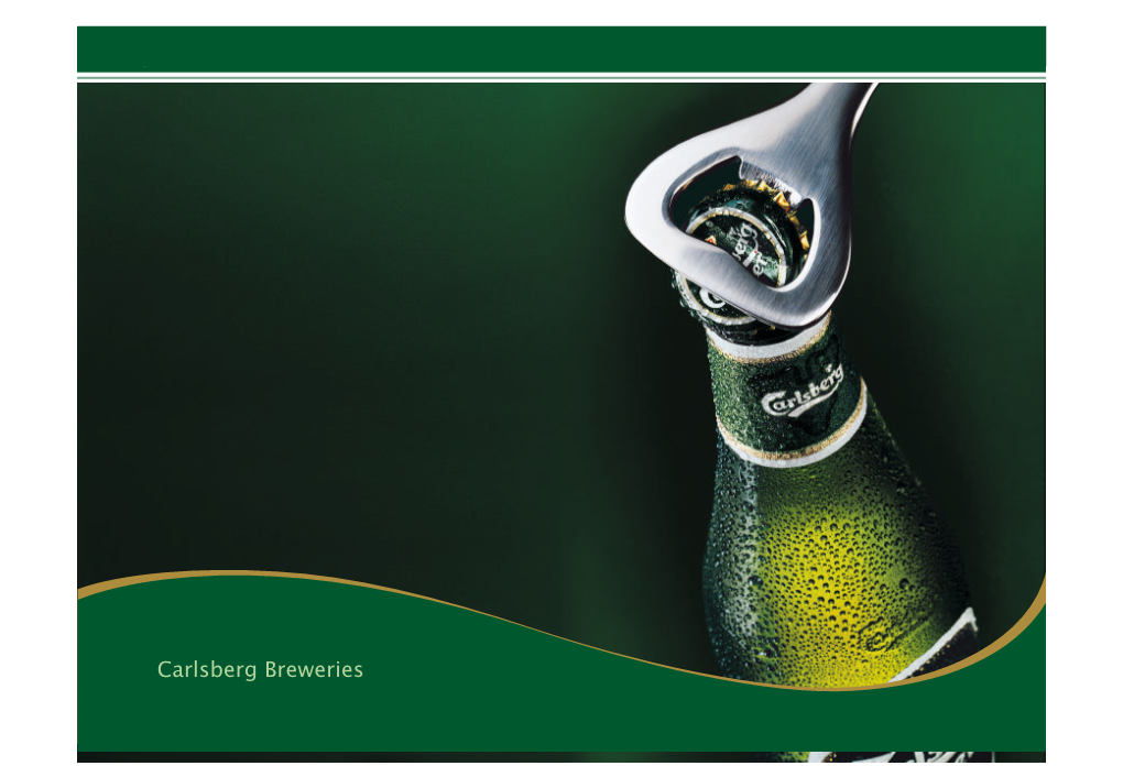 Carlsberg Breweries Achievements in 2002