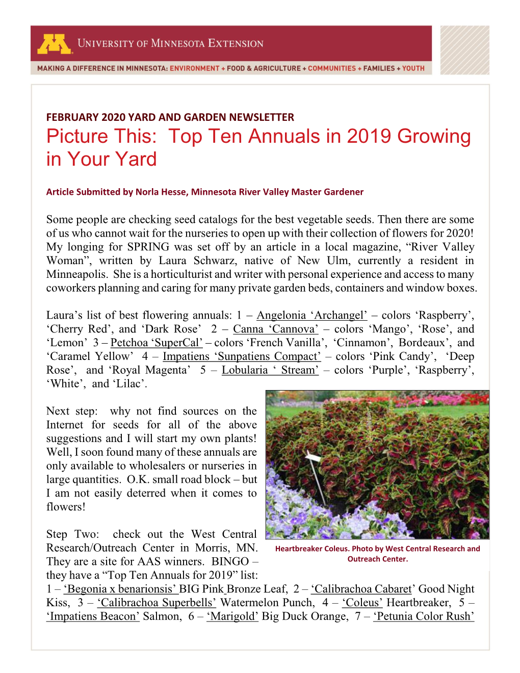 Top Ten Annuals in 2019 Growing in Your Yard