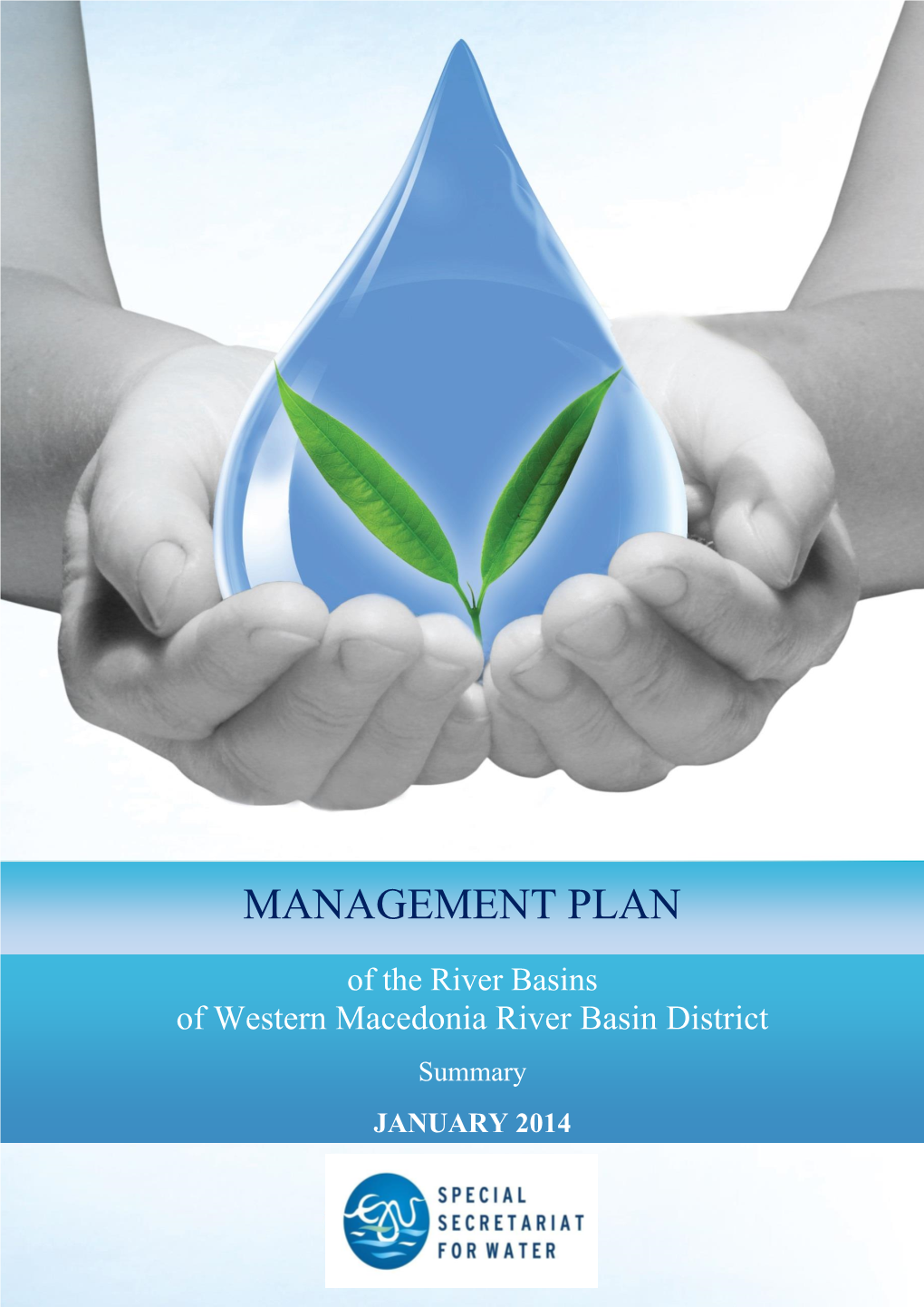 Management Plan