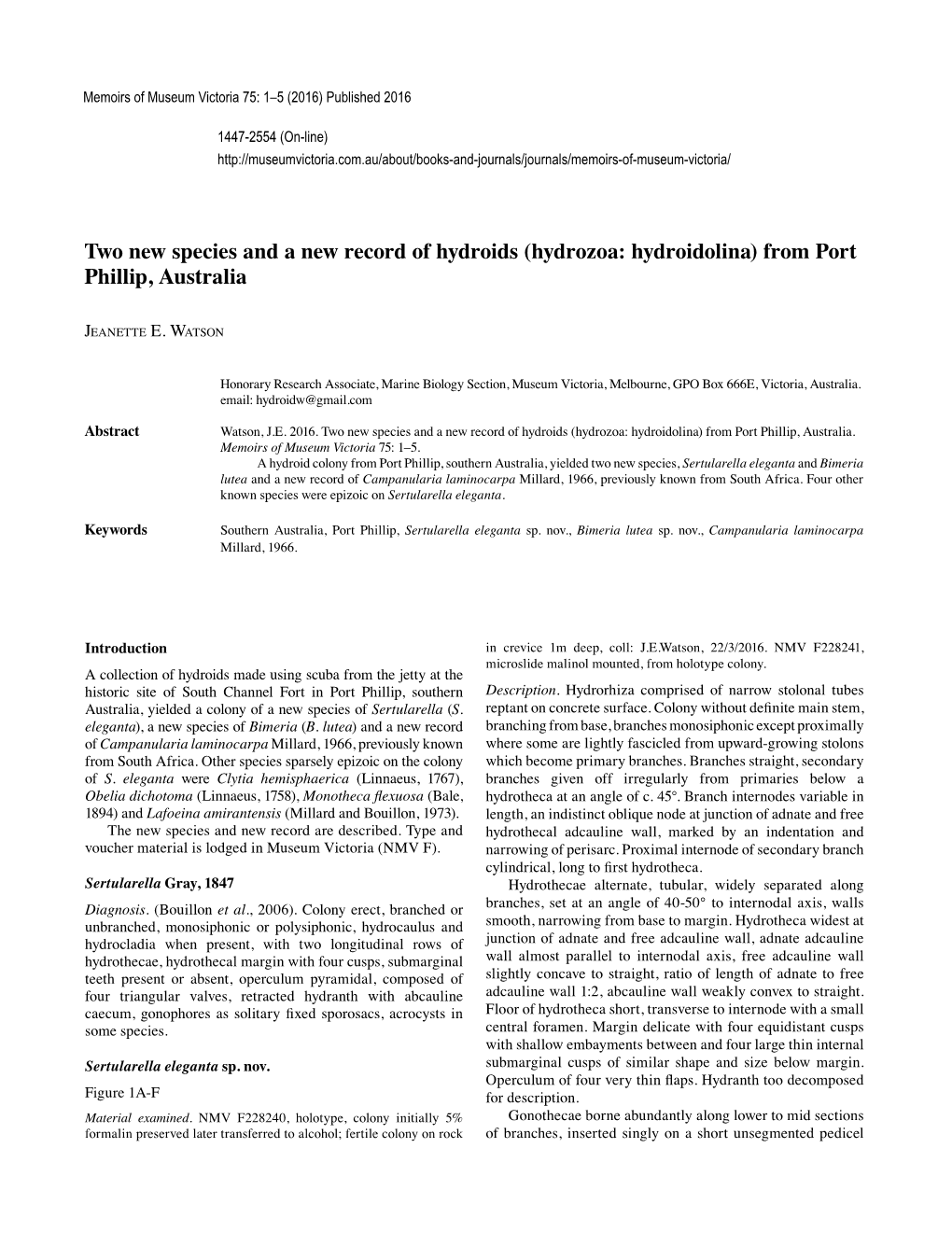 Two New Species and a New Record of Hydroids (Hydrozoa: Hydroidolina) from Port Phillip, Australia