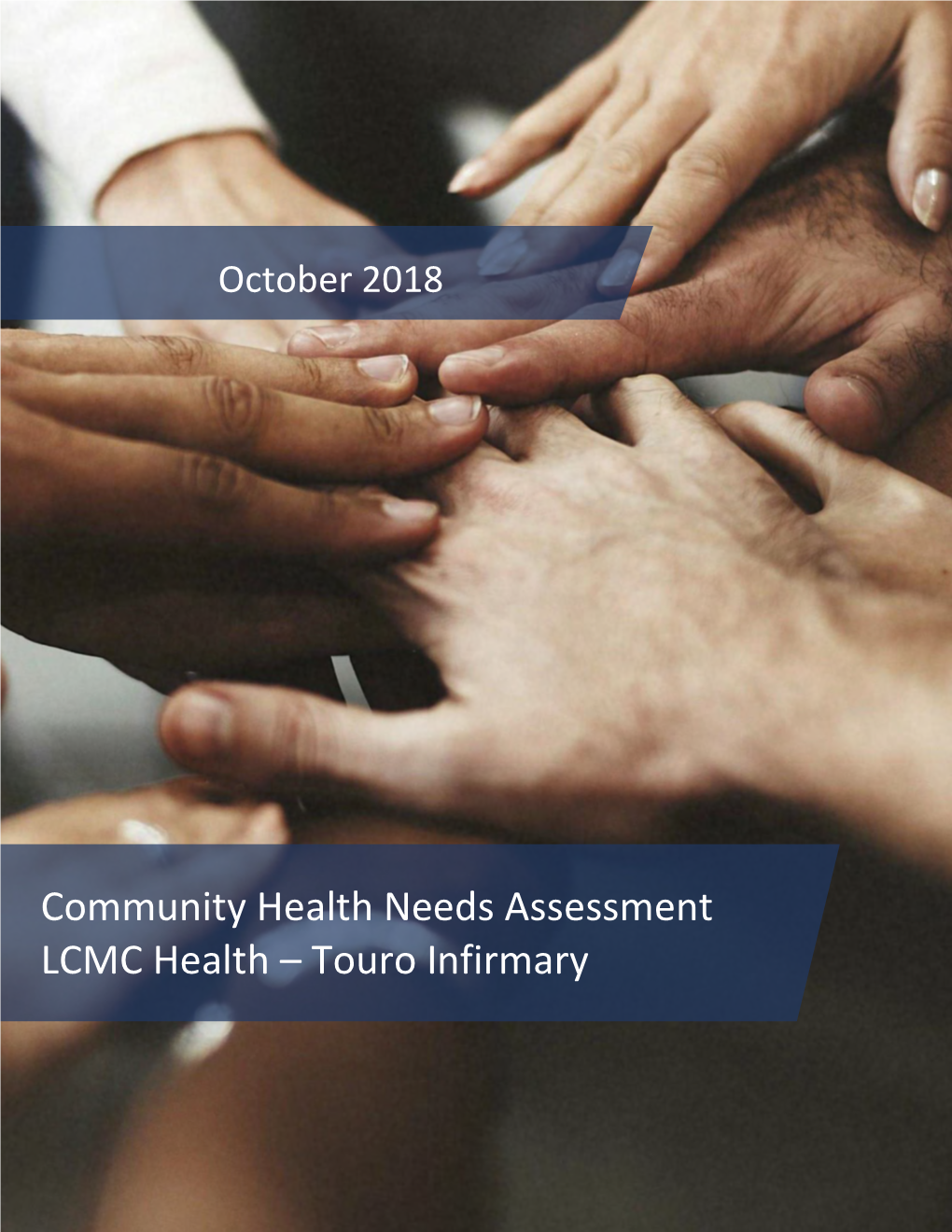 Community Health Needs Assessment LCMC Health – Touro Infirmary Table of Contents