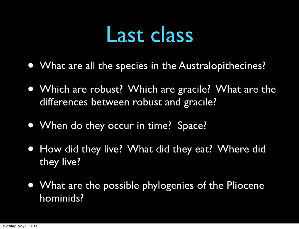 What Are All the Species in the Australopithecines?