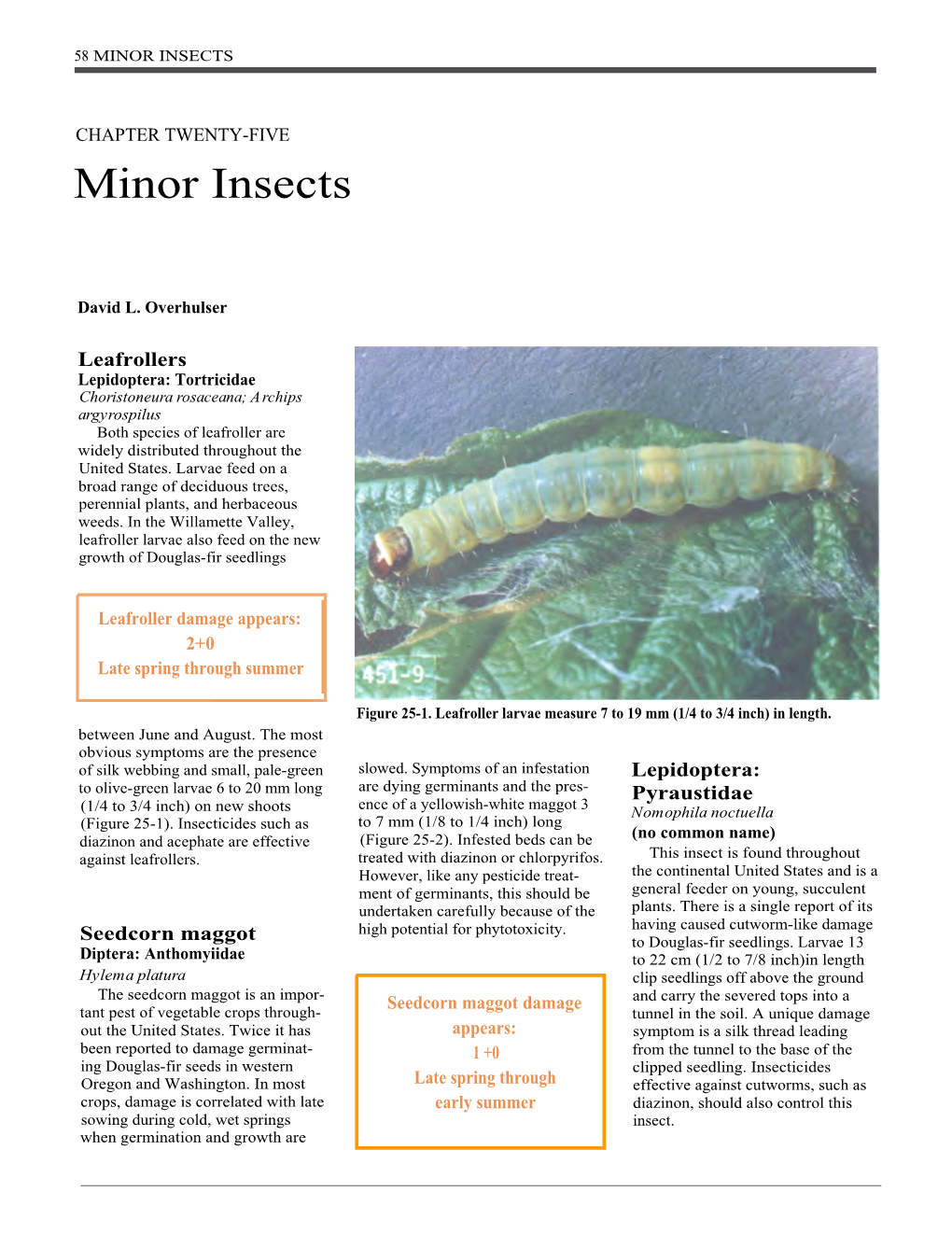 Minor Insects