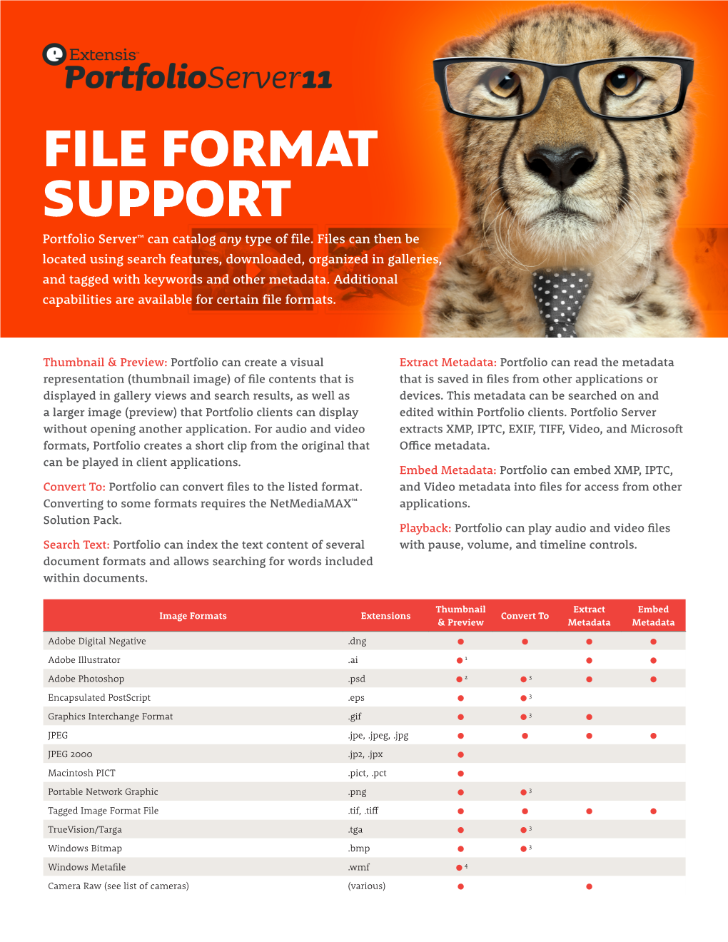 Portfolio Server File Format Support