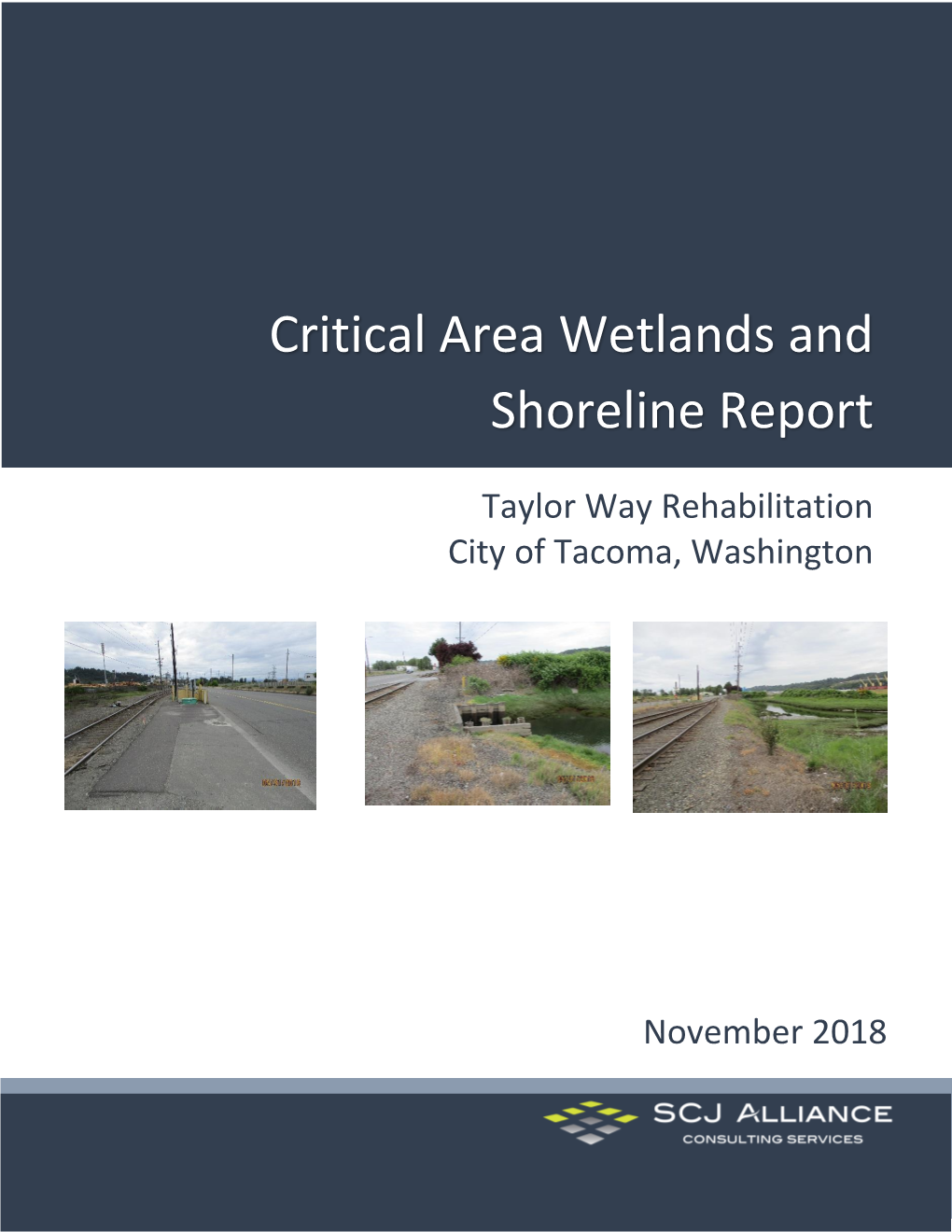 Critical Area Wetlands and Shoreline Report