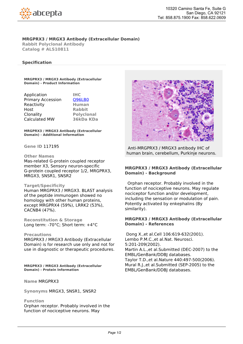 MRGPRX3 / MRGX3 Antibody (Extracellular Domain) Rabbit Polyclonal Antibody Catalog # ALS10811