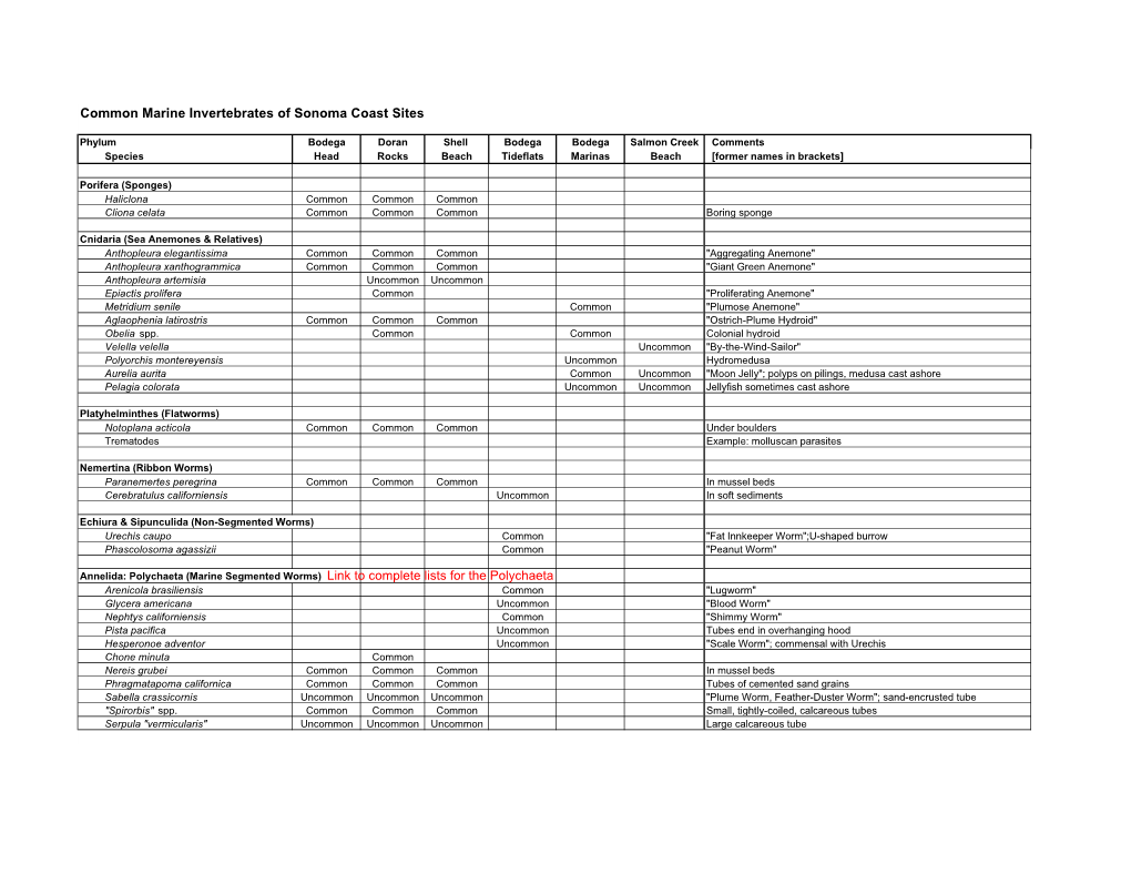 Common Marine Invertebrates of Sonoma Coast Sites