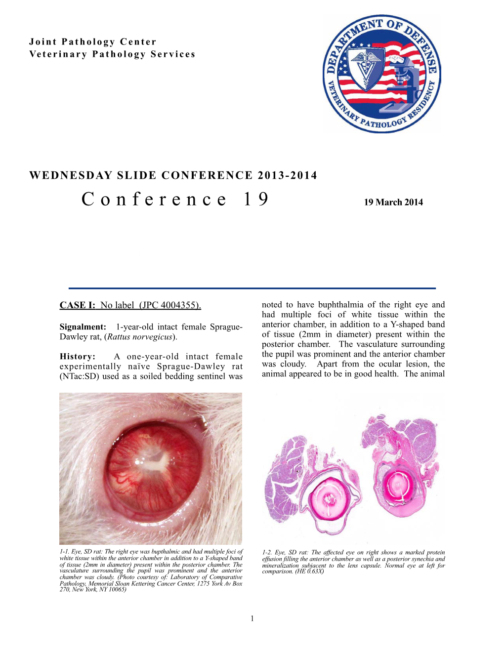 WSC 13-14 Conf 19 Layout