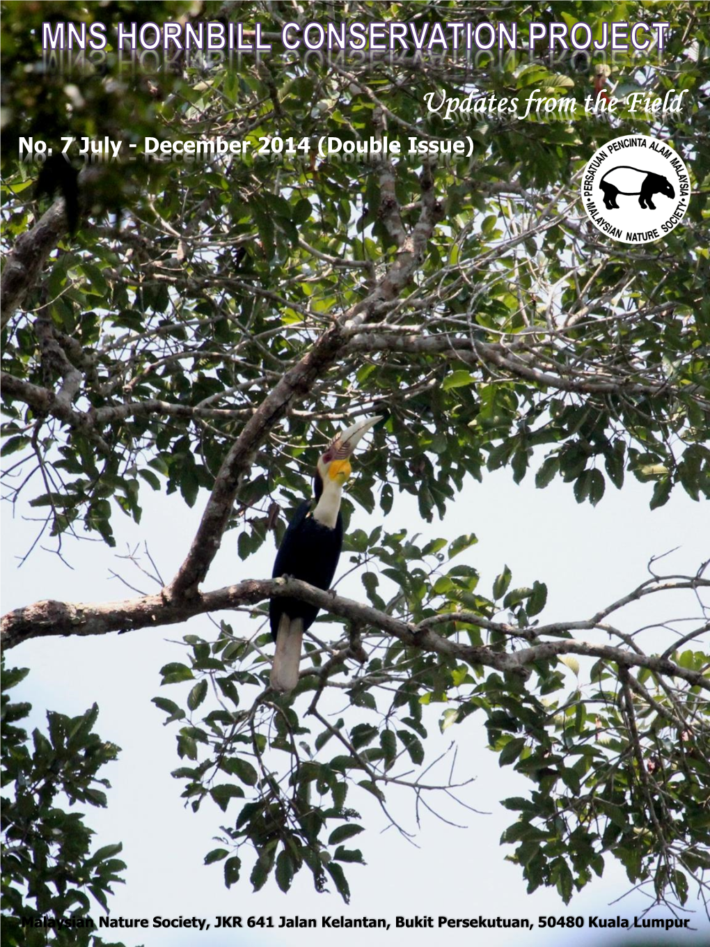 Hornbills and in Reaching out to Different Stakeholders from the Young to Policy/Decision-Makers to (Bird) Conservationist/Researchers Globally