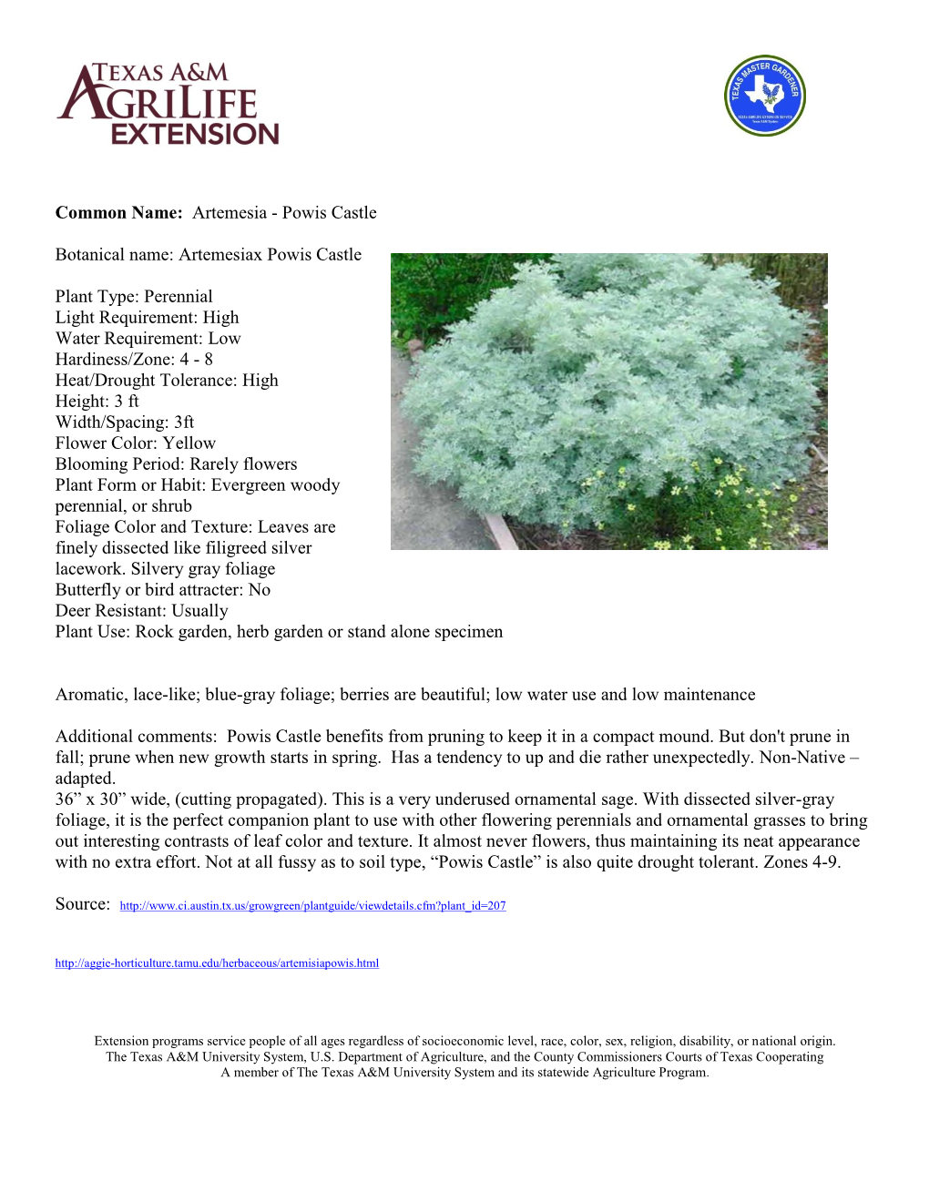 Common Name: Artemesia - Powis Castle