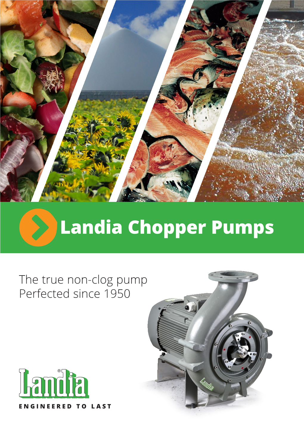 Landia Chopper Pumps