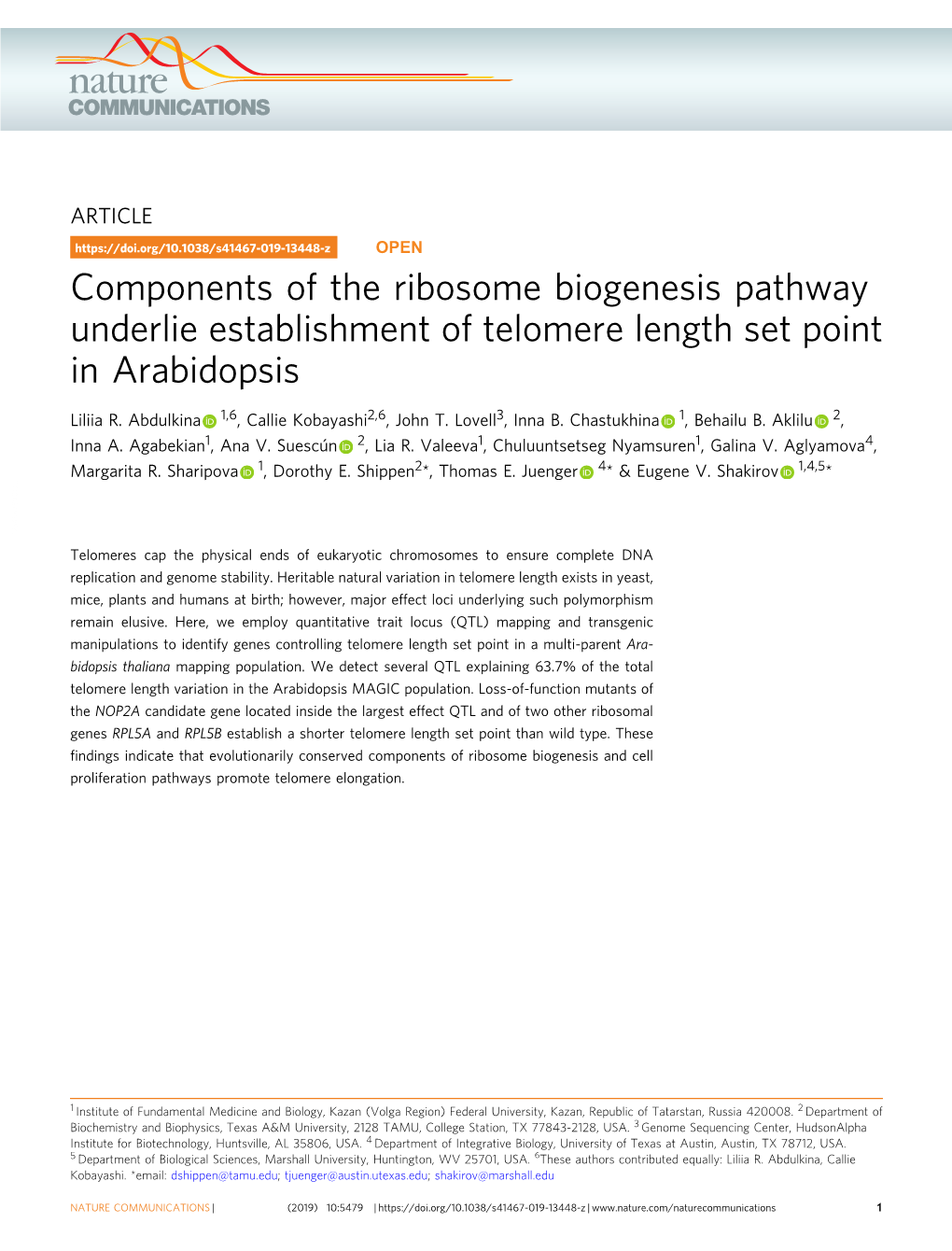 Components of the Ribosome Biogenesis Pathway Underlie Establishment of Telomere Length Set Point in Arabidopsis