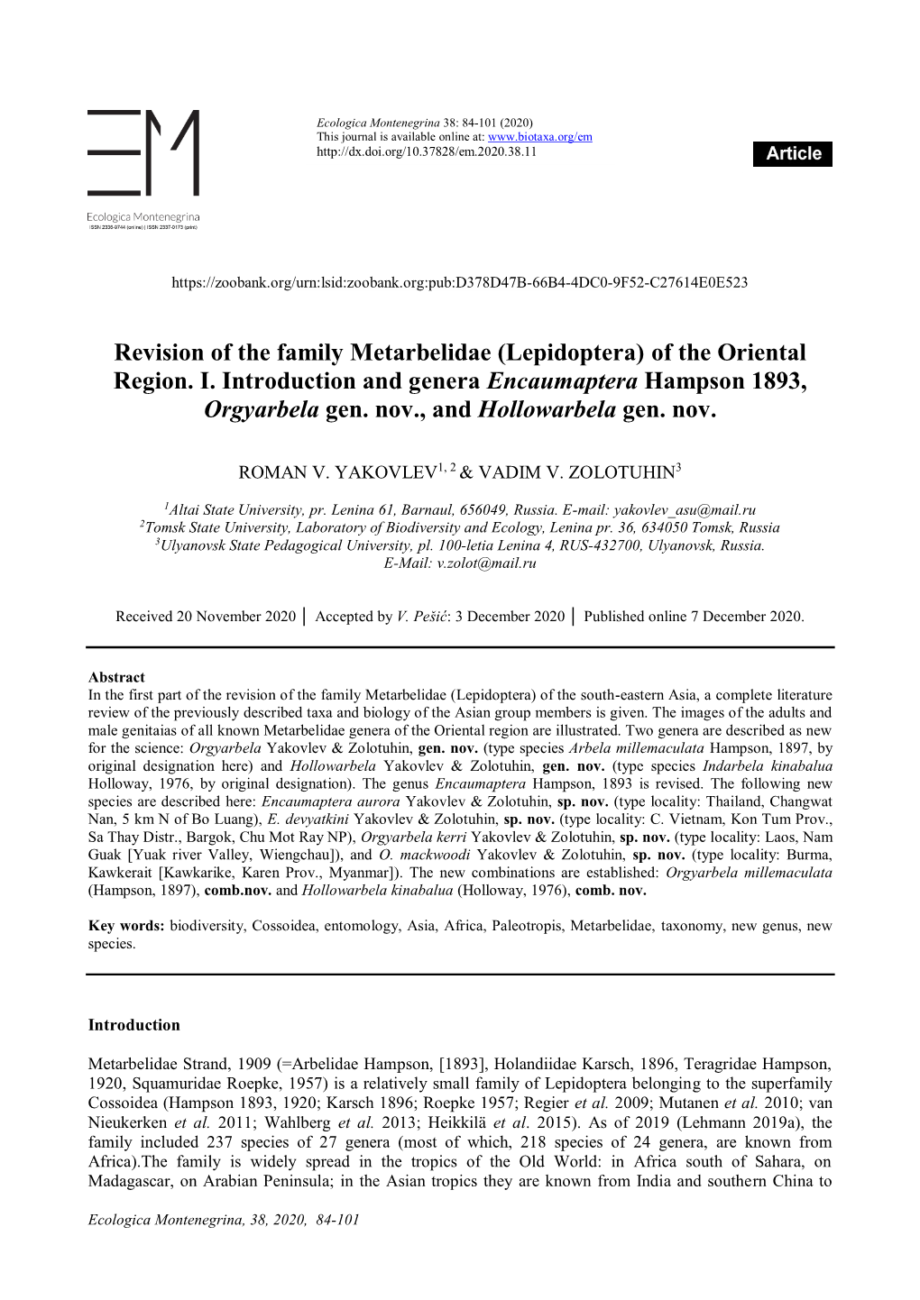 Revision of the Family Metarbelidae (Lepidoptera) of the Oriental Region