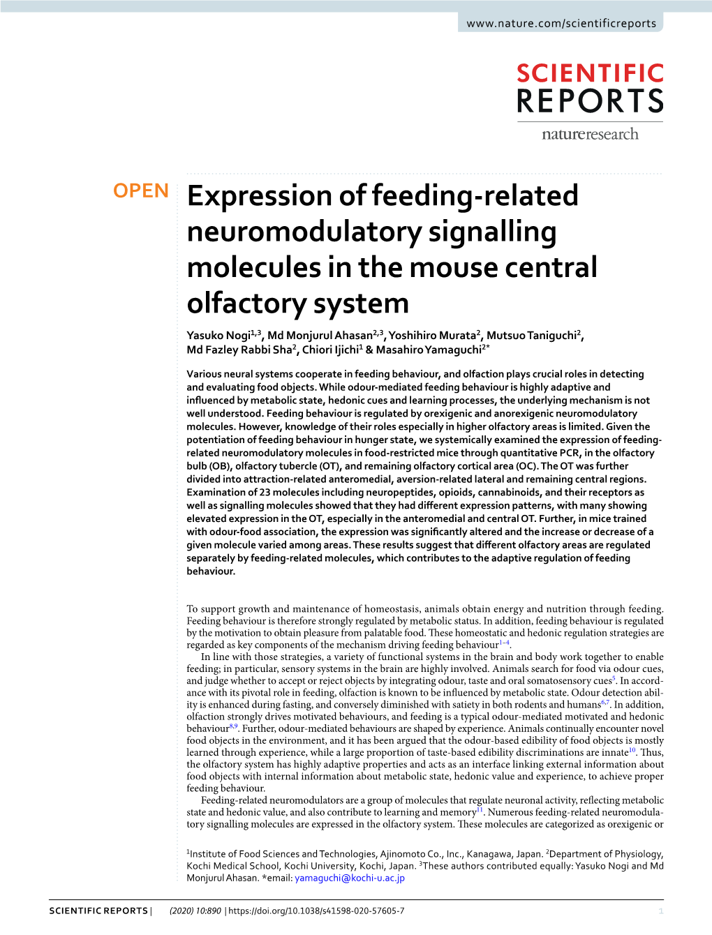 Expression of Feeding-Related Neuromodulatory Signalling Molecules in the Mouse Central Olfactory System