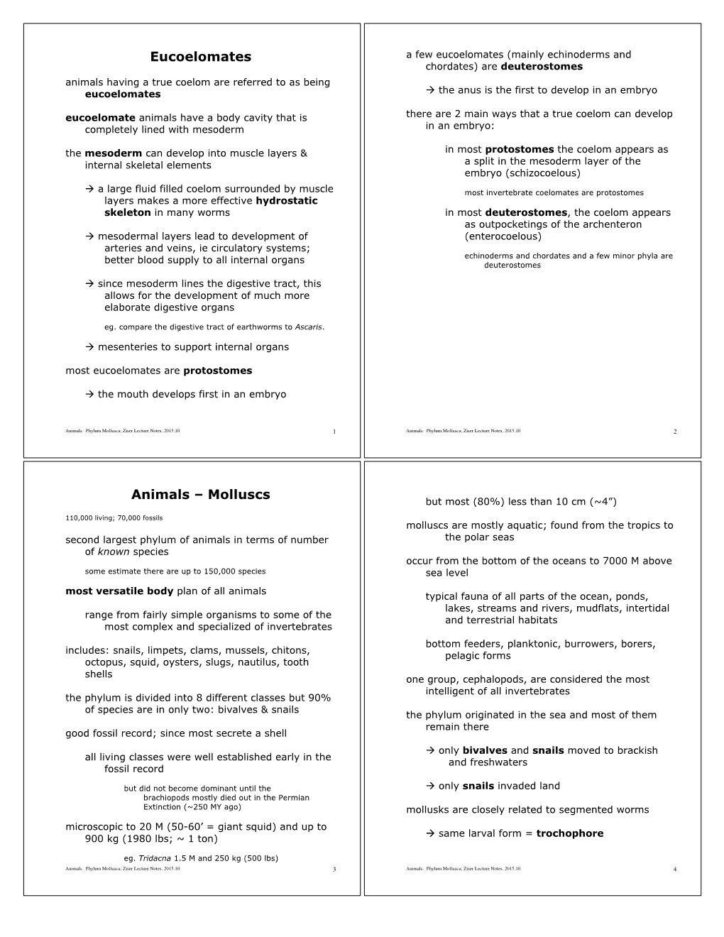 Phylum Mollusca.Pdf