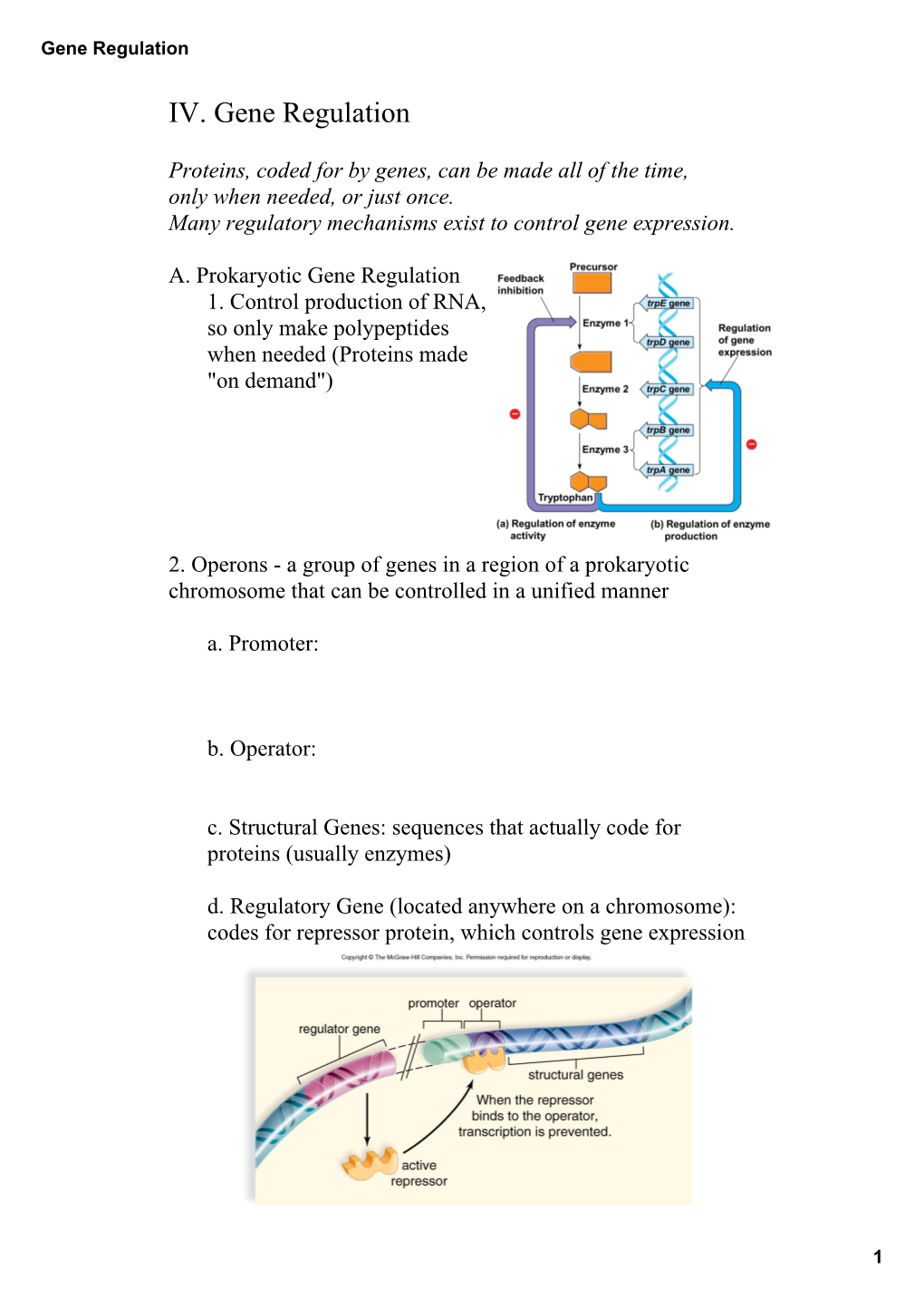 Gene Regulation