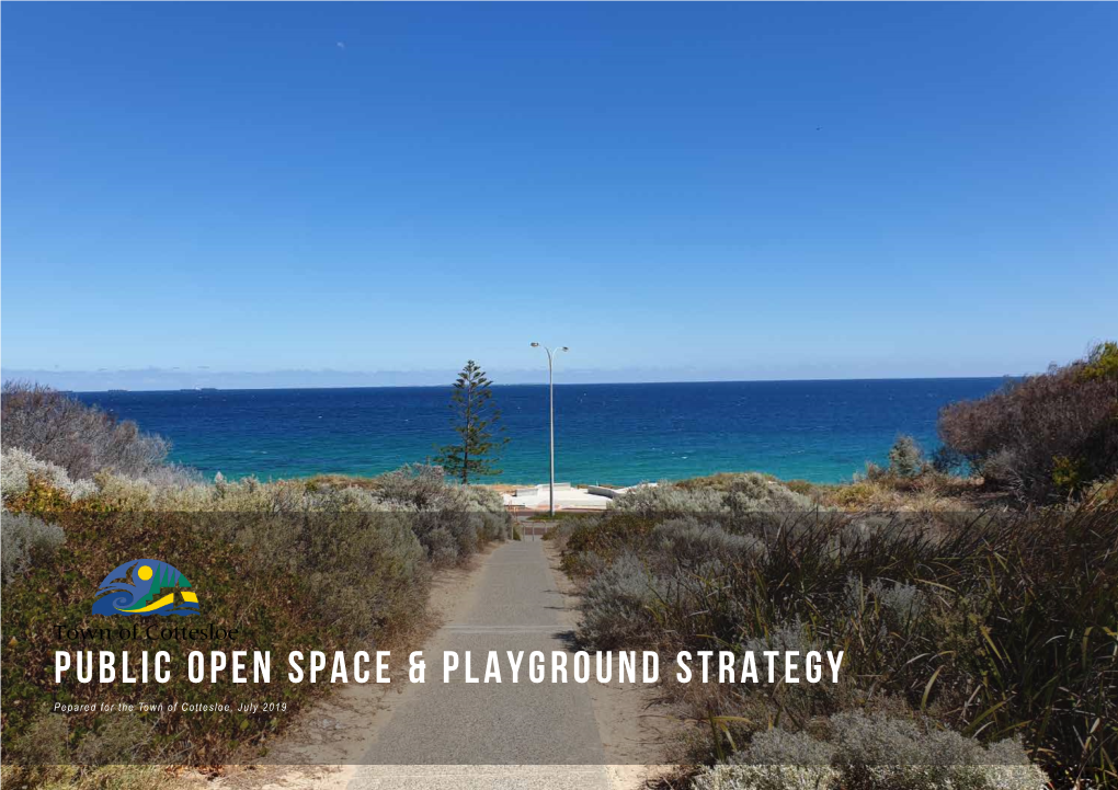 Public Open Space & Playground Strategy