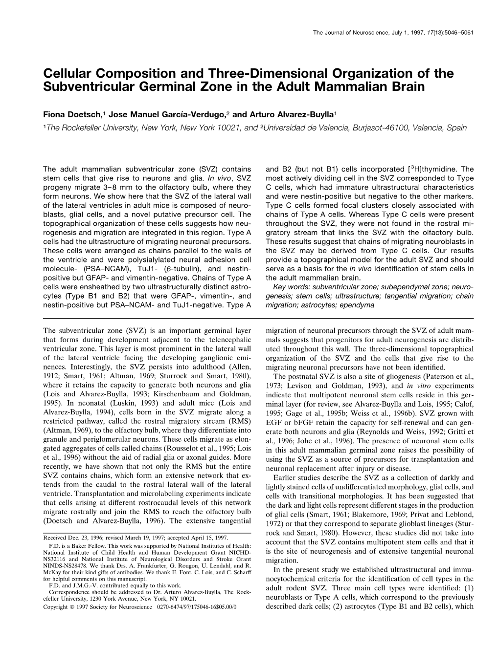 Cellular Composition and Three-Dimensional Organization of the Subventricular Germinal Zone in the Adult Mammalian Brain