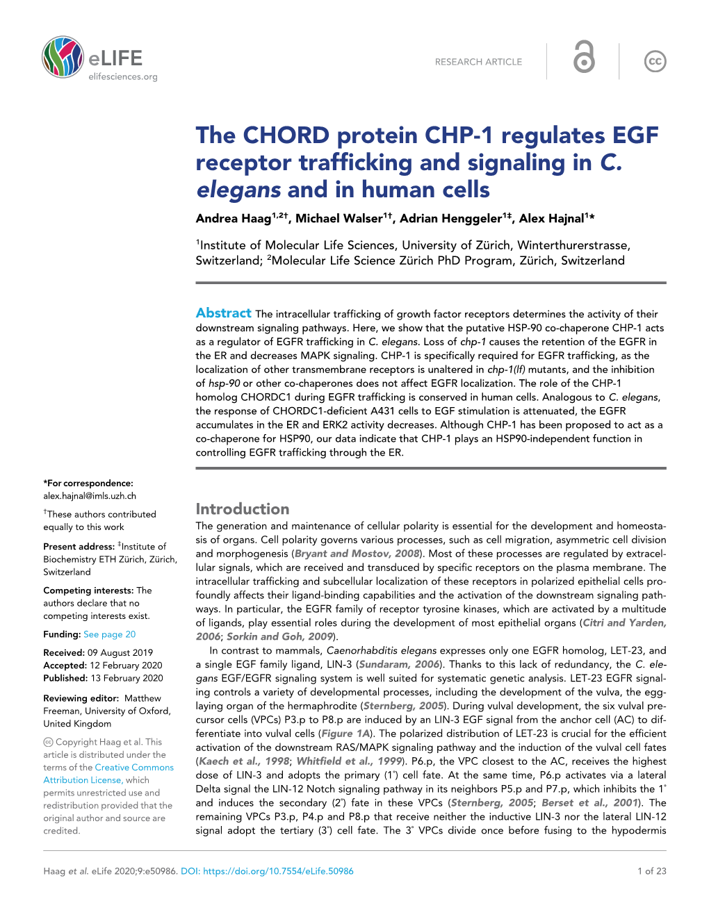 The CHORD Protein CHP-1 Regulates EGF Receptor Trafficking and Signaling in C