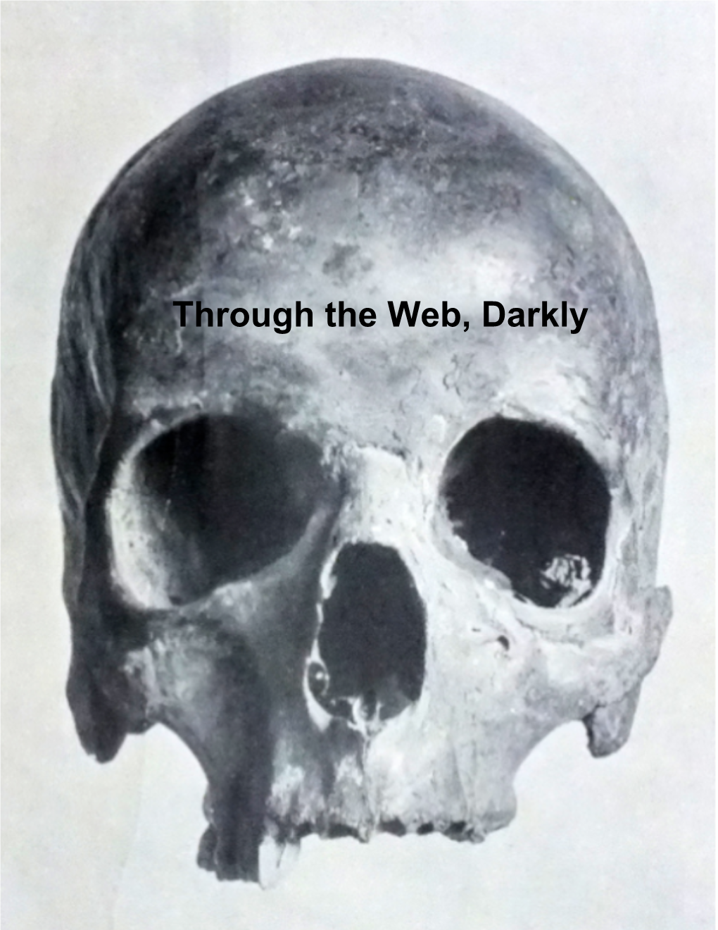 Through the Web, Darkly Through the Web, Darkly