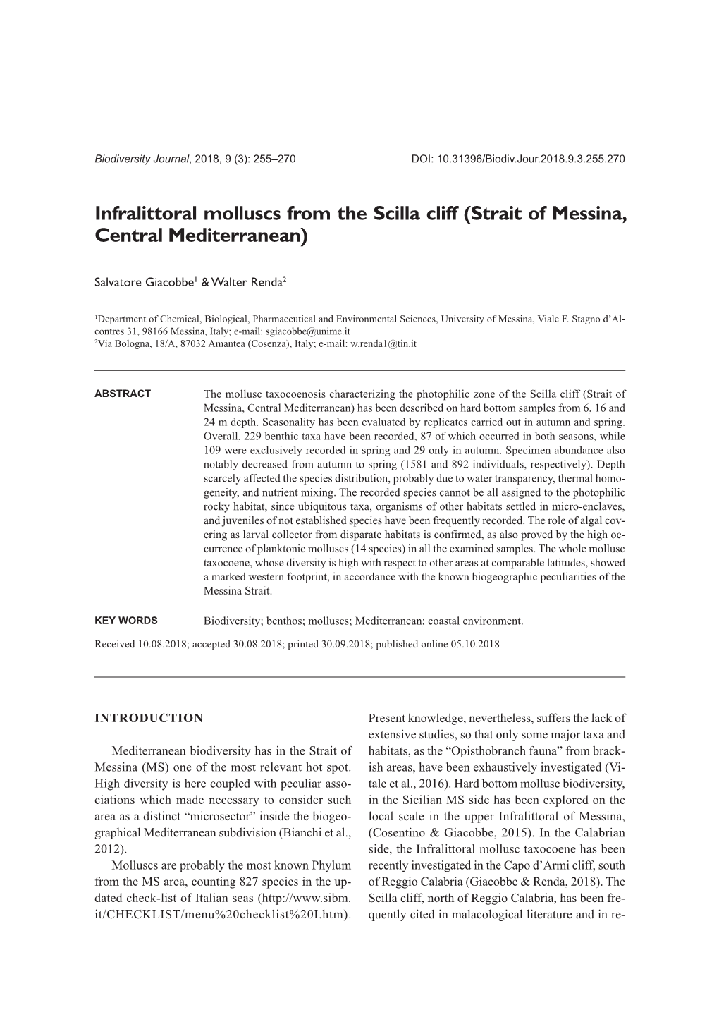Infralittoral Molluscs from the Scilla Cliff (Strait of Messina, Central Mediterranean)