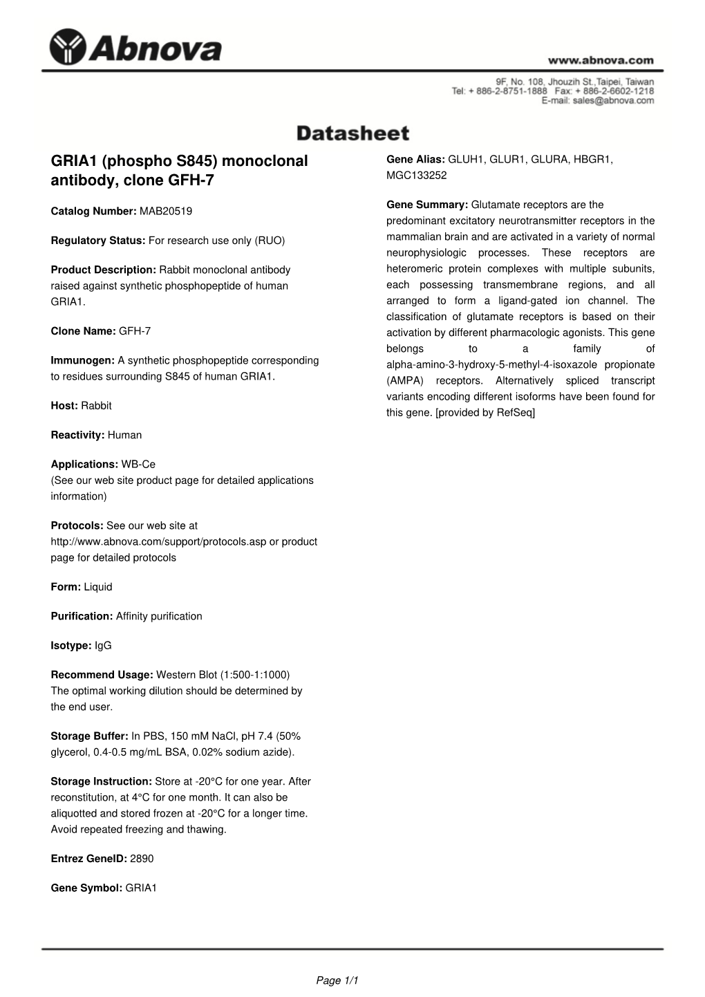 GRIA1 (Phospho S845) Monoclonal Gene Alias: GLUH1, GLUR1, GLURA, HBGR1, Antibody, Clone GFH-7 MGC133252