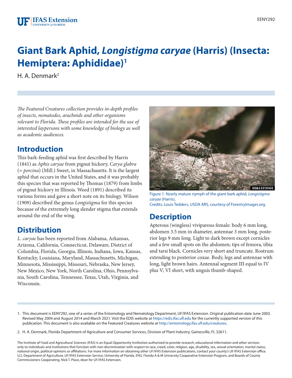 Giant Bark Aphid, Longistigma Caryae (Harris) (Insecta: Hemiptera: Aphididae)1 H