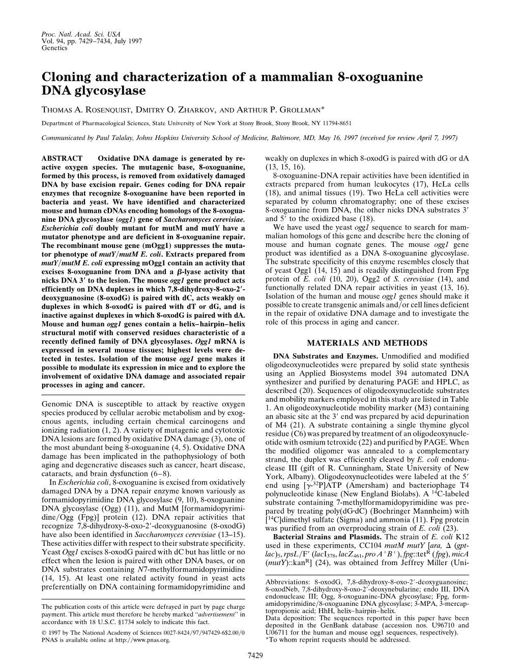 Cloning and Characterization of a Mammalian 8-Oxoguanine DNA Glycosylase