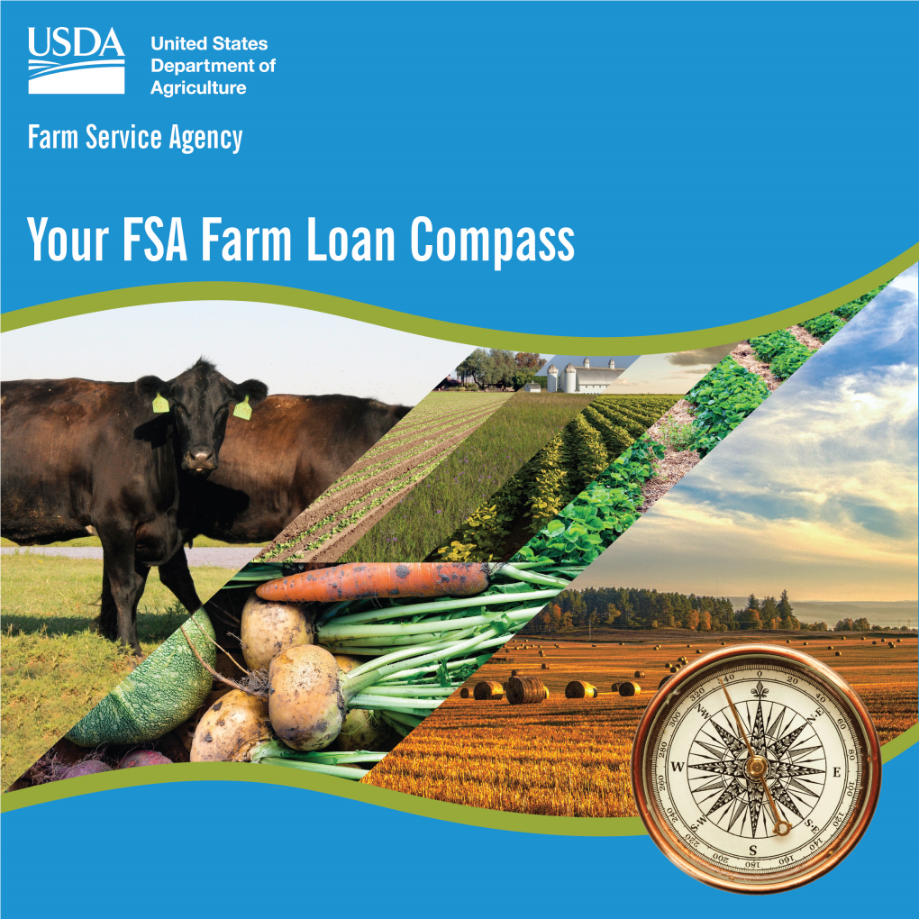 Your FSA Farm Loan Compass Page 3 What Is in This Guide?