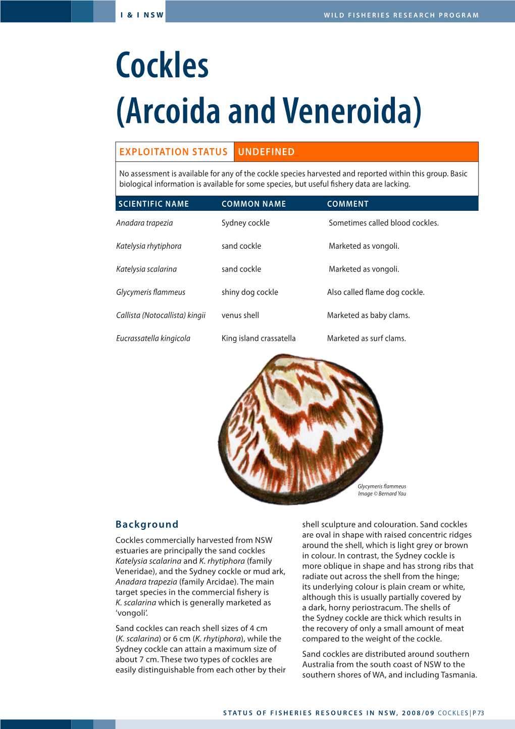 Cockles (Arcoida and Veneroida)