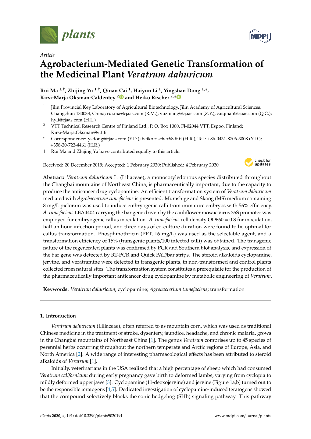 Agrobacterium-Mediated Genetic Transformation of the Medicinal Plant Veratrum Dahuricum