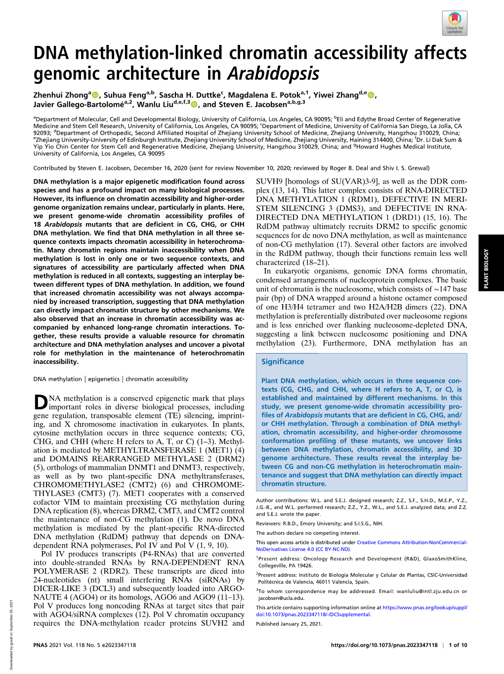 DNA Methylation-Linked Chromatin Accessibility Affects Genomic Architecture in Arabidopsis