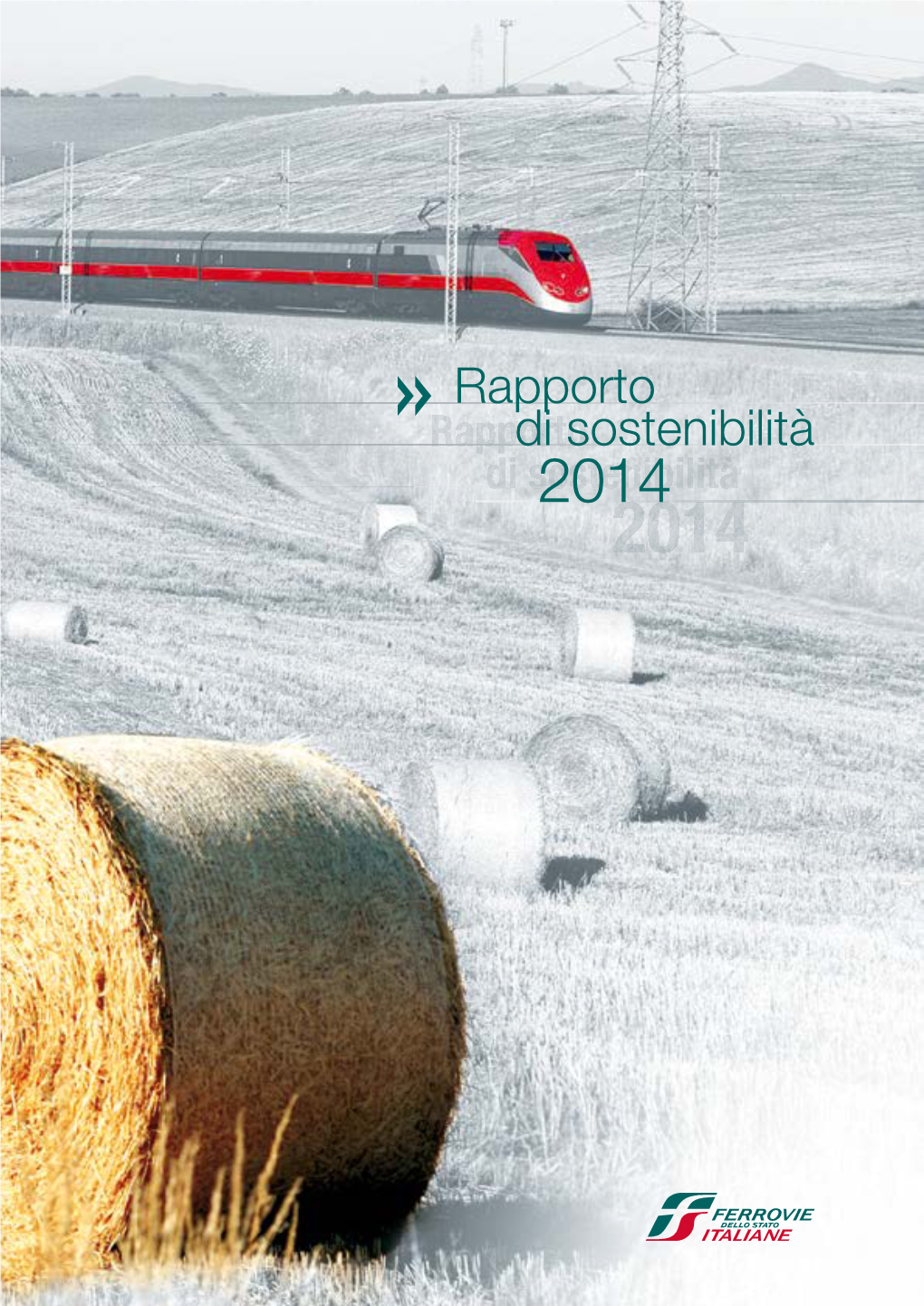 Rapporto Di Sostenibilità 2014