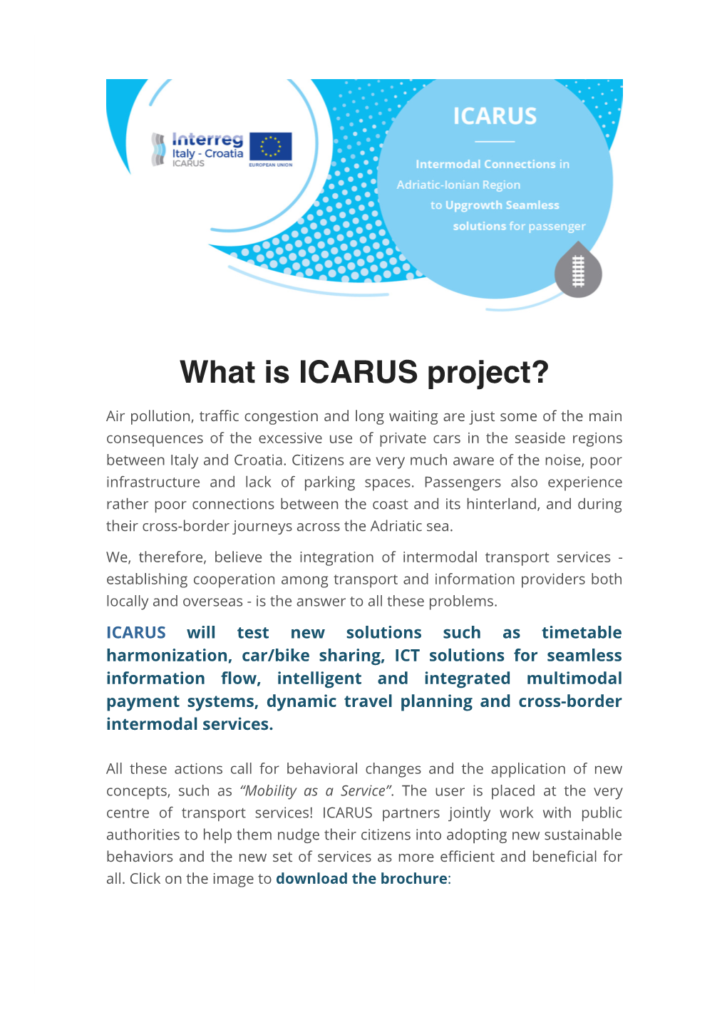 What Is ICARUS Project?