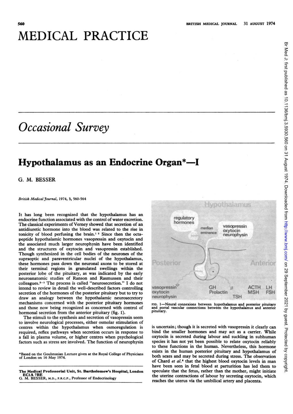 Hypothalamus As an Endocrine Organ*Mi