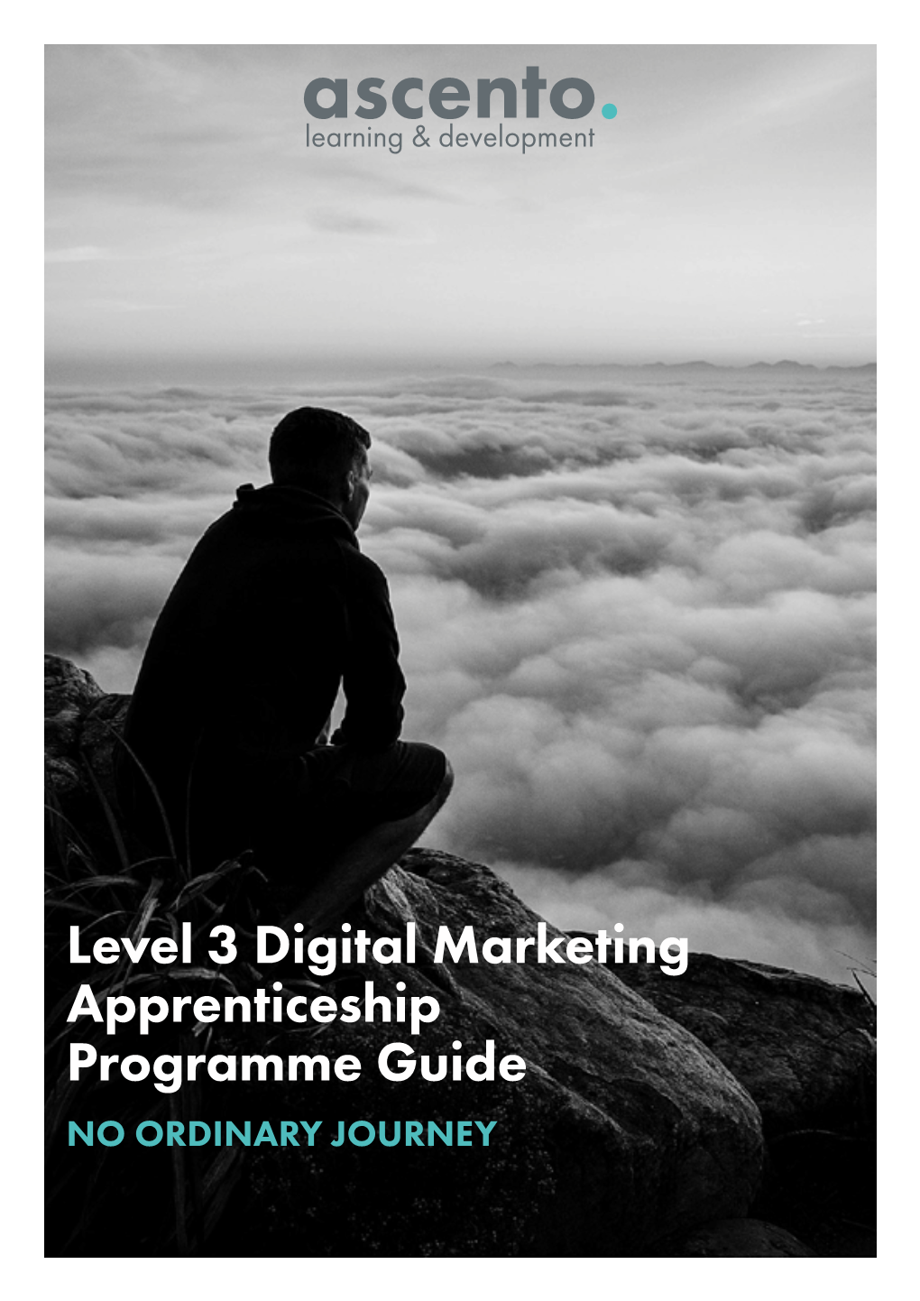 Level 3 Digital Marketing Apprenticeship Programme Guide