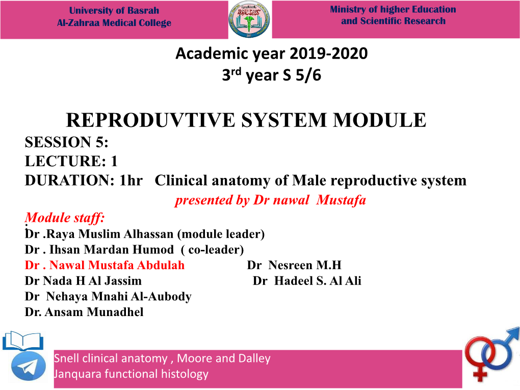 Male Reproductive System Presented by Dr Nawal Mustafa Module Staff: : Dr .Raya Muslim Alhassan (Module Leader) Dr