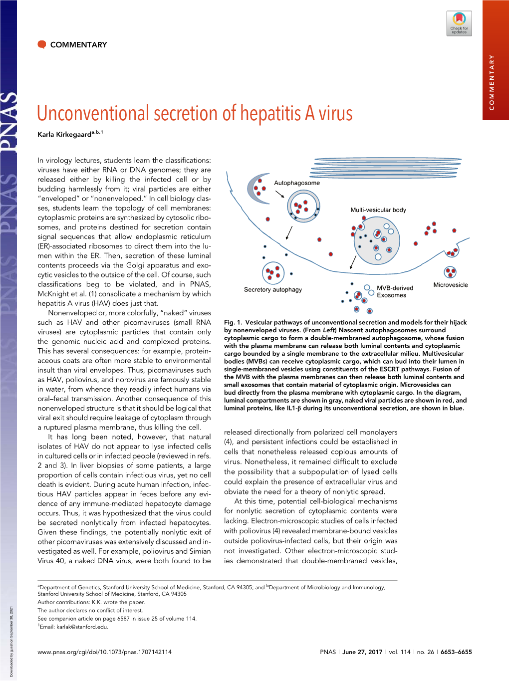 Unconventional Secretion of Hepatitis a Virus COMMENTARY