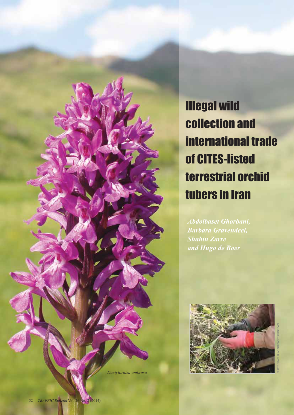 TRAFFIC BULLETIN VOL 26 NO 2 Trade in CITES-Listed Terrestrial