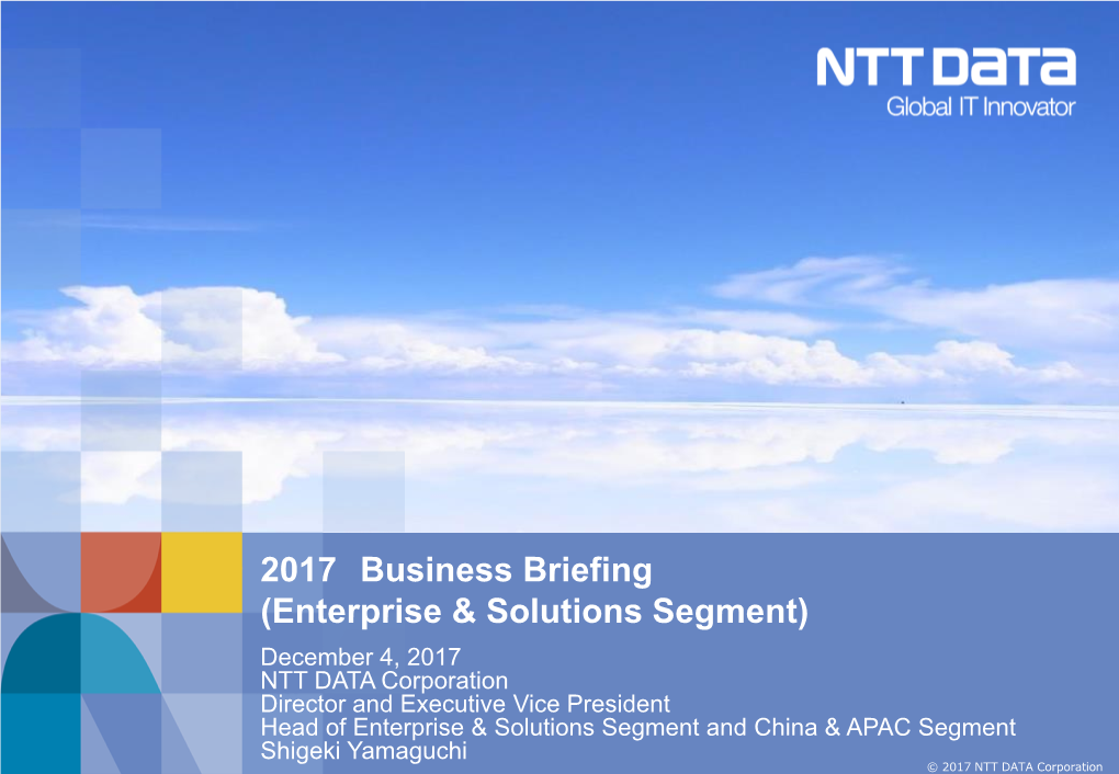 2017 Business Briefing (Enterprise & Solutions Segment)
